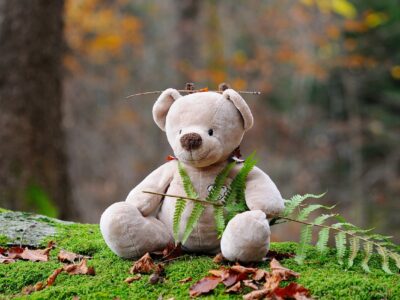 Teddy-bear-in-nature