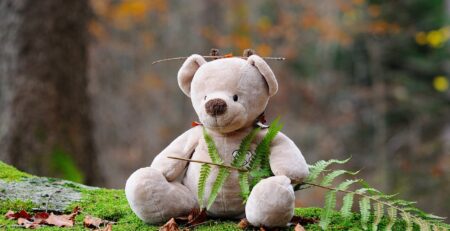 Teddy-bear-in-nature